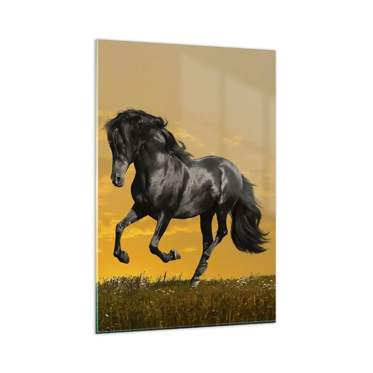 Impression sur verre - Image sur verre - Un cheval noir galope sur fond de coucher de soleil doré. - 80x120cm - Beau, libre et sauvage - Décoration murale moderne pour le salon et la chambre ARTTOR