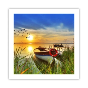 Affiche - Poster - Les cormorans s'envolent déjà - 50x50 cm