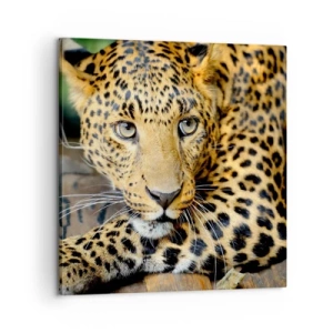 Impression sur toile - Image sur toile - N'aie pas peur, viens - 60x60 cm