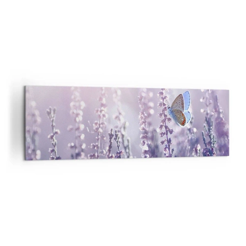 Impression sur toile - Image sur toile - Un papillon sur une lavande en fleurs dans la lumière du matin - 160x50cm - Baiser de papillon - Décoration murale moderne pour le salon et la chambre ARTTOR