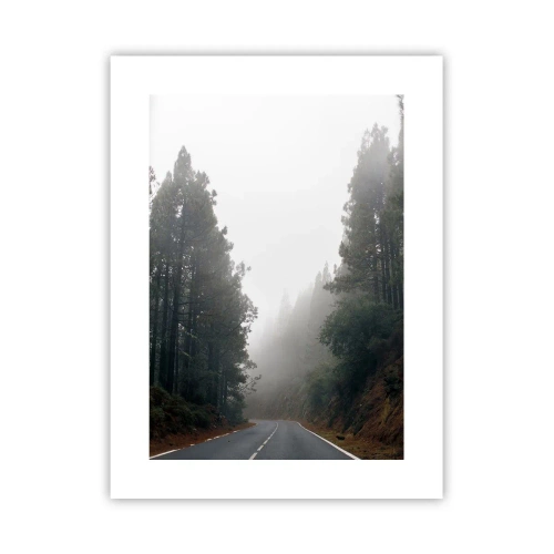 Affiche - Poster - Conte de la forêt magique - 30x40 cm