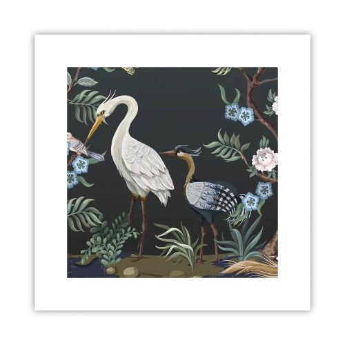 Affiche - Poster - Parade d'oiseaux - 30x30 cm