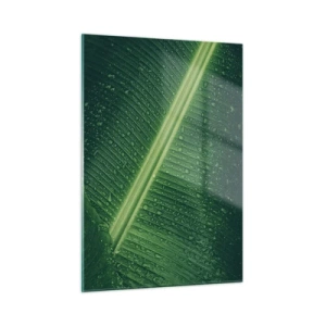 Impression sur verre - Image sur verre - Gros plan d'une feuille verte avec des gouttes d'eau - 50x70cm - Structure de vert - Décoration murale moderne pour le salon et la chambre ARTTOR