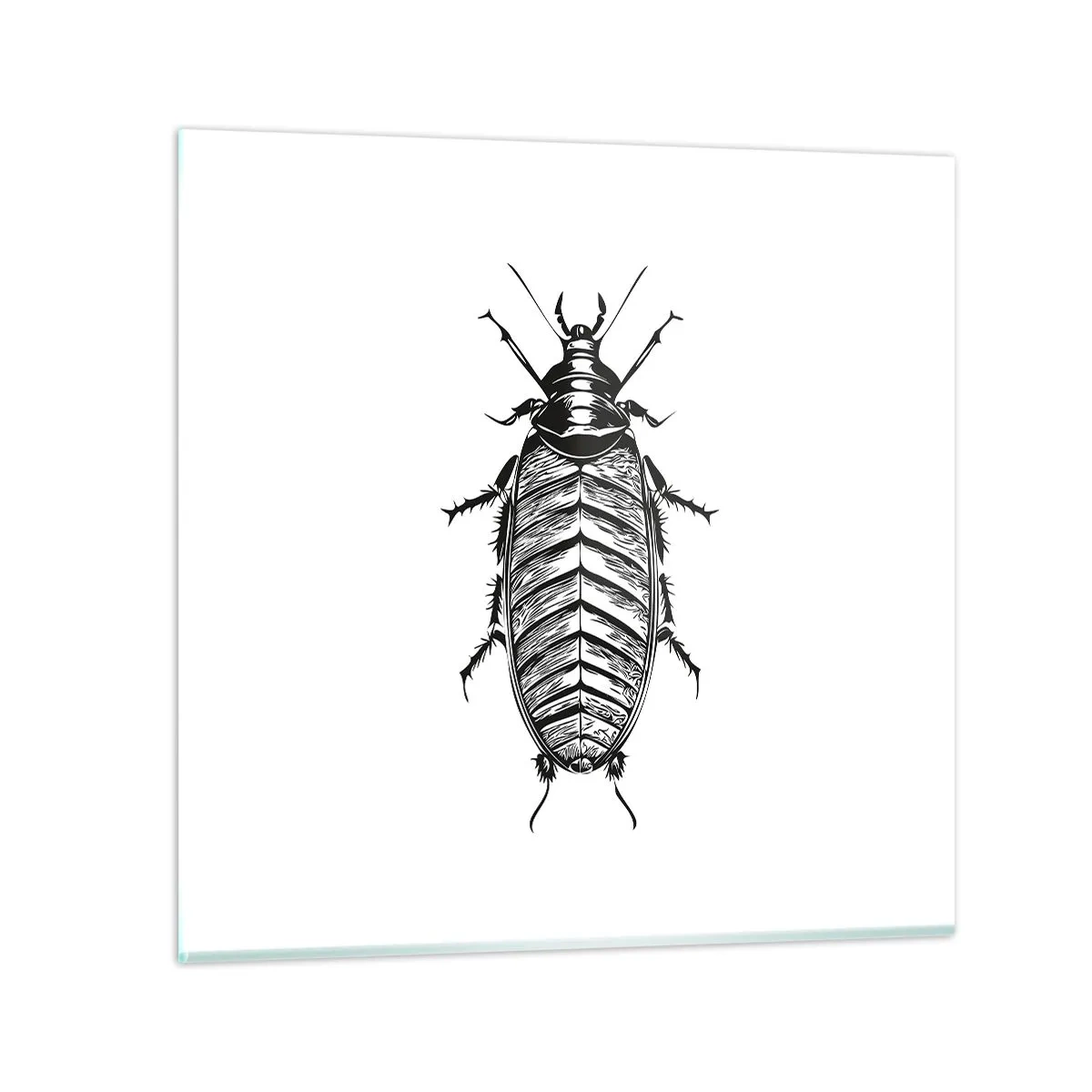 Impression sur verre - Image sur verre - Quel spécimen! - 50x50 cm