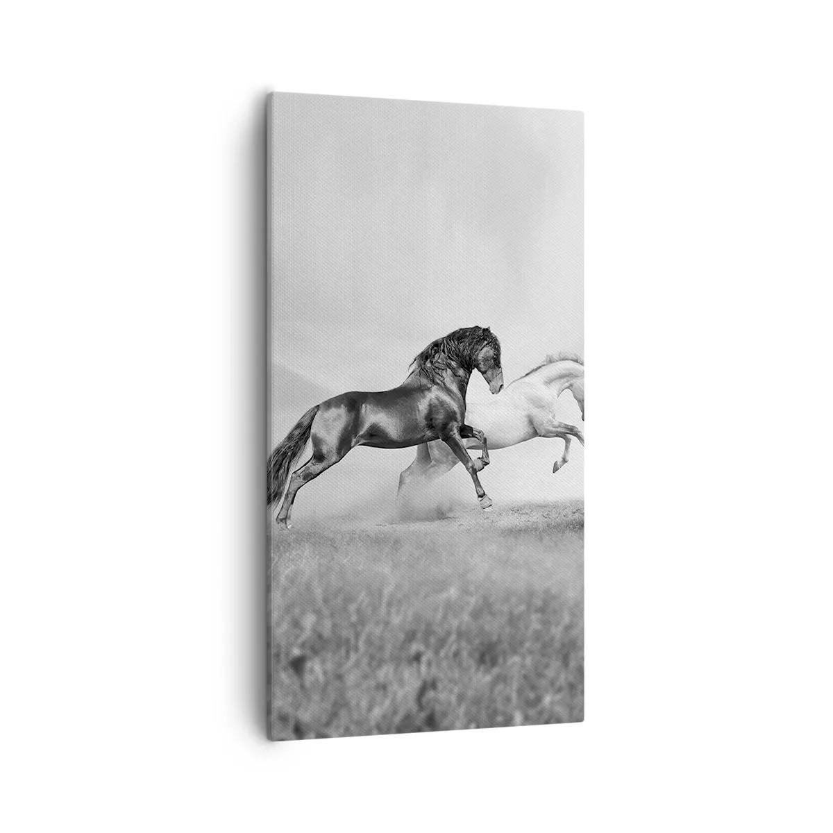 Impression sur toile - Image sur toile - Anges et démons - 55x100 cm