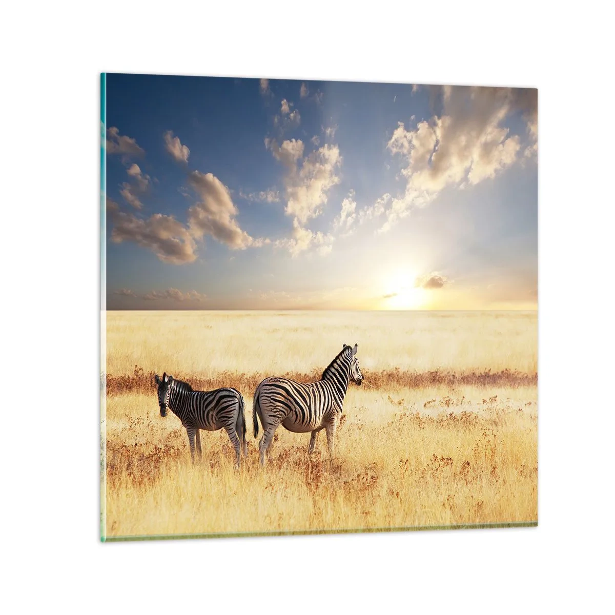 Impression sur verre - Image sur verre - Va-t'en, n'ai pas de paix - 60x60 cm