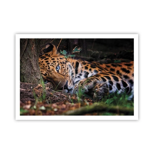 Affiche - Poster - Un léopard couché à l'ombre des arbres - 100x70cm - Fais-moi confiance - Décoration murale moderne pour le salon et la chambre ARTTOR