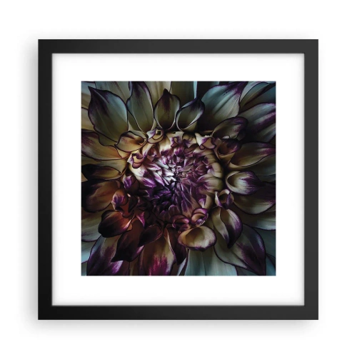 Affiche dans un cadre noir - Poster - L'apogée de la jeunesse - 30x30 cm