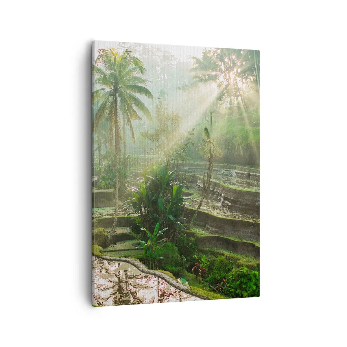Impression sur toile - Image sur toile - Rizières en terrasses avec palmiers sous les rayons du soleil - 50x70cm - Grandir au soleil - Décoration murale moderne pour le salon et la chambre ARTTOR