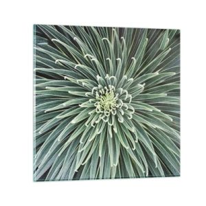 Impression sur verre - Image sur verre - Naissance d'une étoile - 50x50 cm