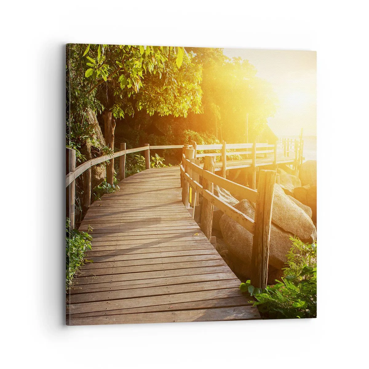 Impression sur toile - Image sur toile - Un autre tour, un autre miracle - 70x70 cm