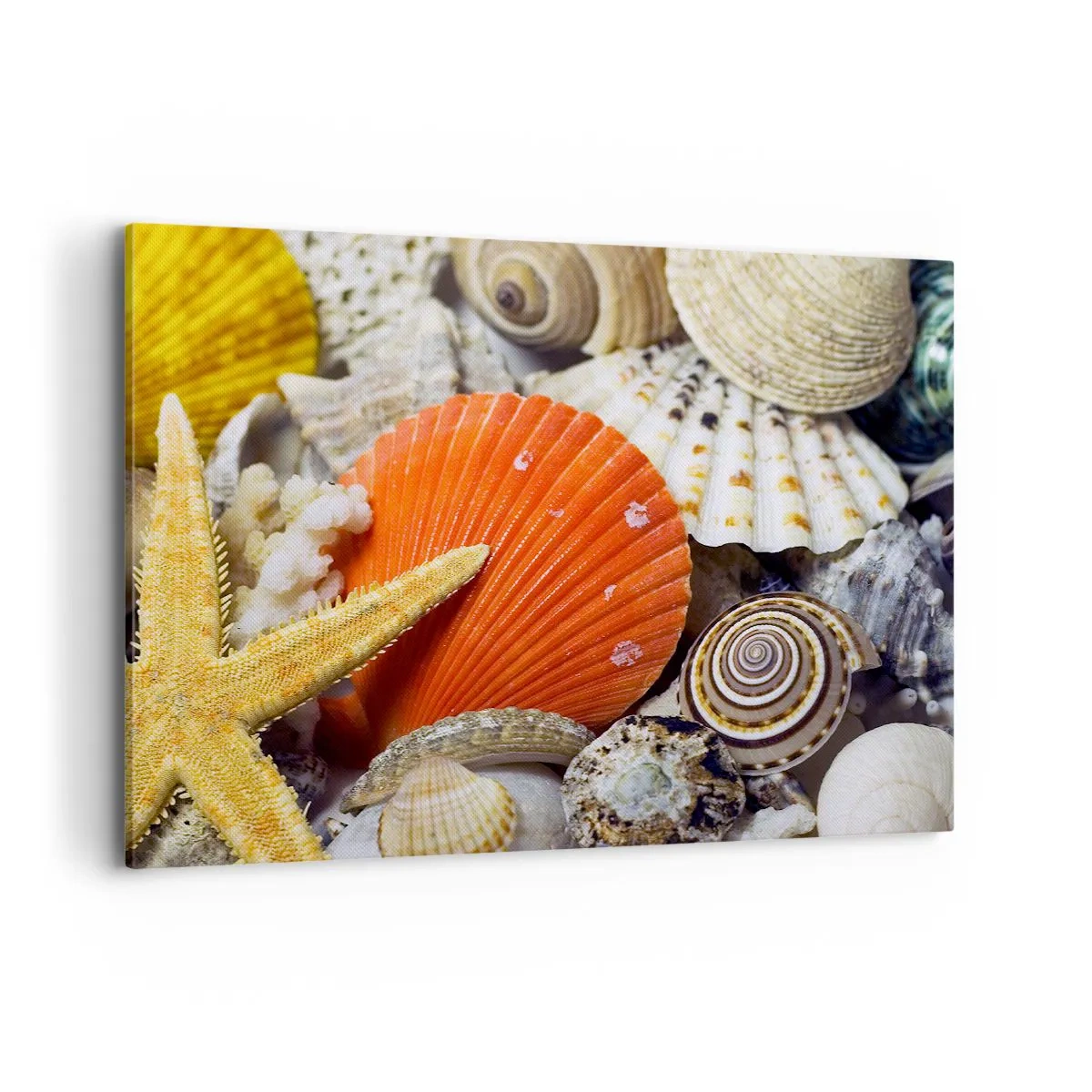 Impression sur toile - Image sur toile - Coquillages et étoiles de mer dans une composition marine - 100x70cm - Trésors de l'océan - Décoration murale moderne pour le salon et la chambre ARTTOR