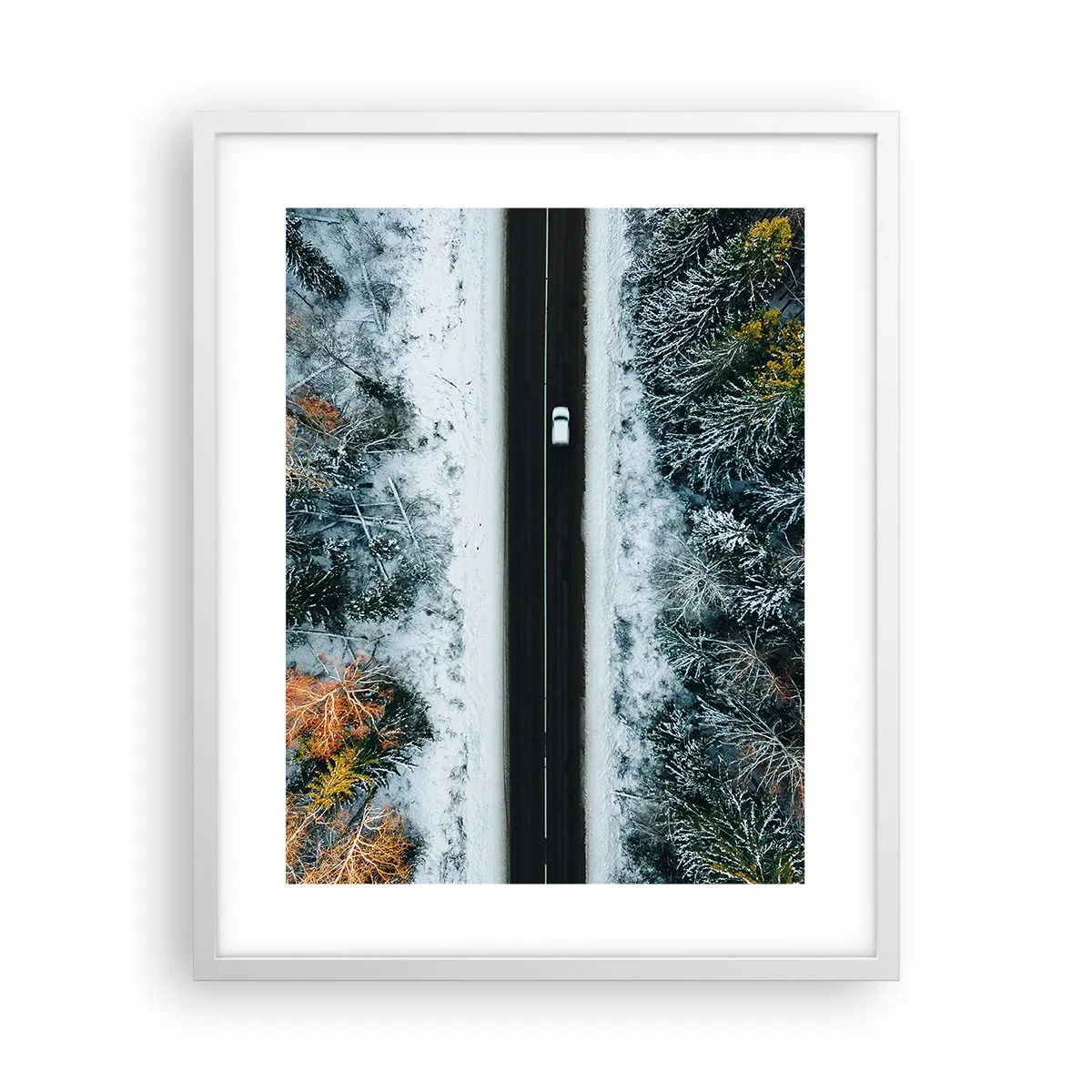 Affiche dans un cadre blanc - Poster - Couper à travers la forêt d'hiver - 40x50 cm