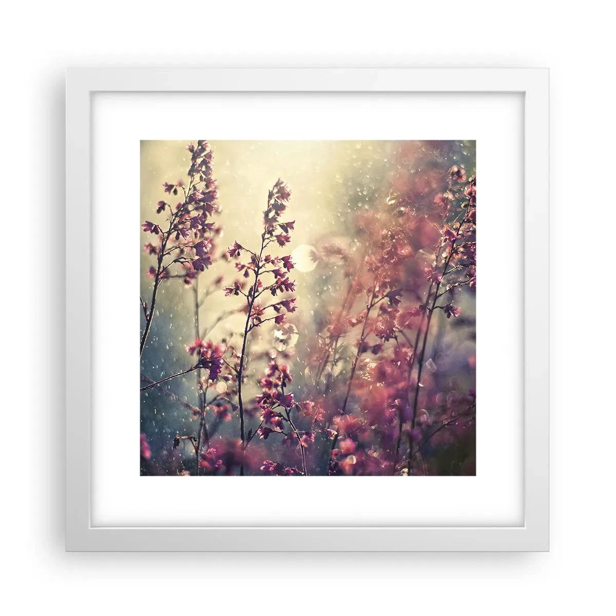 Affiche dans un cadre blanc - Poster - Jardin secret - 30x30 cm