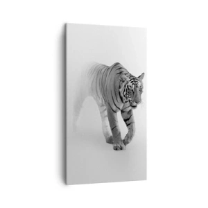 Impression sur toile - Image sur toile - Accroupi dans le brouillard - 45x80 cm