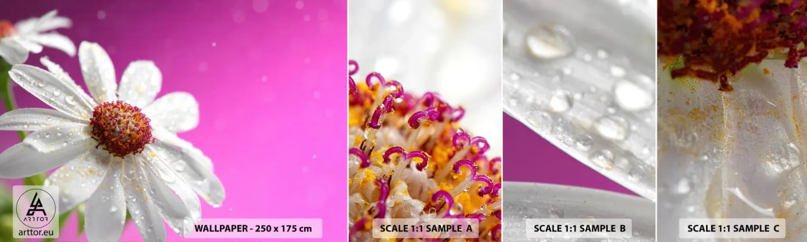 Échantillon De Papier Peint Standard Eco - Modeste dans sa beauté - Fleur, Nature, Jardin - 100x30 cm