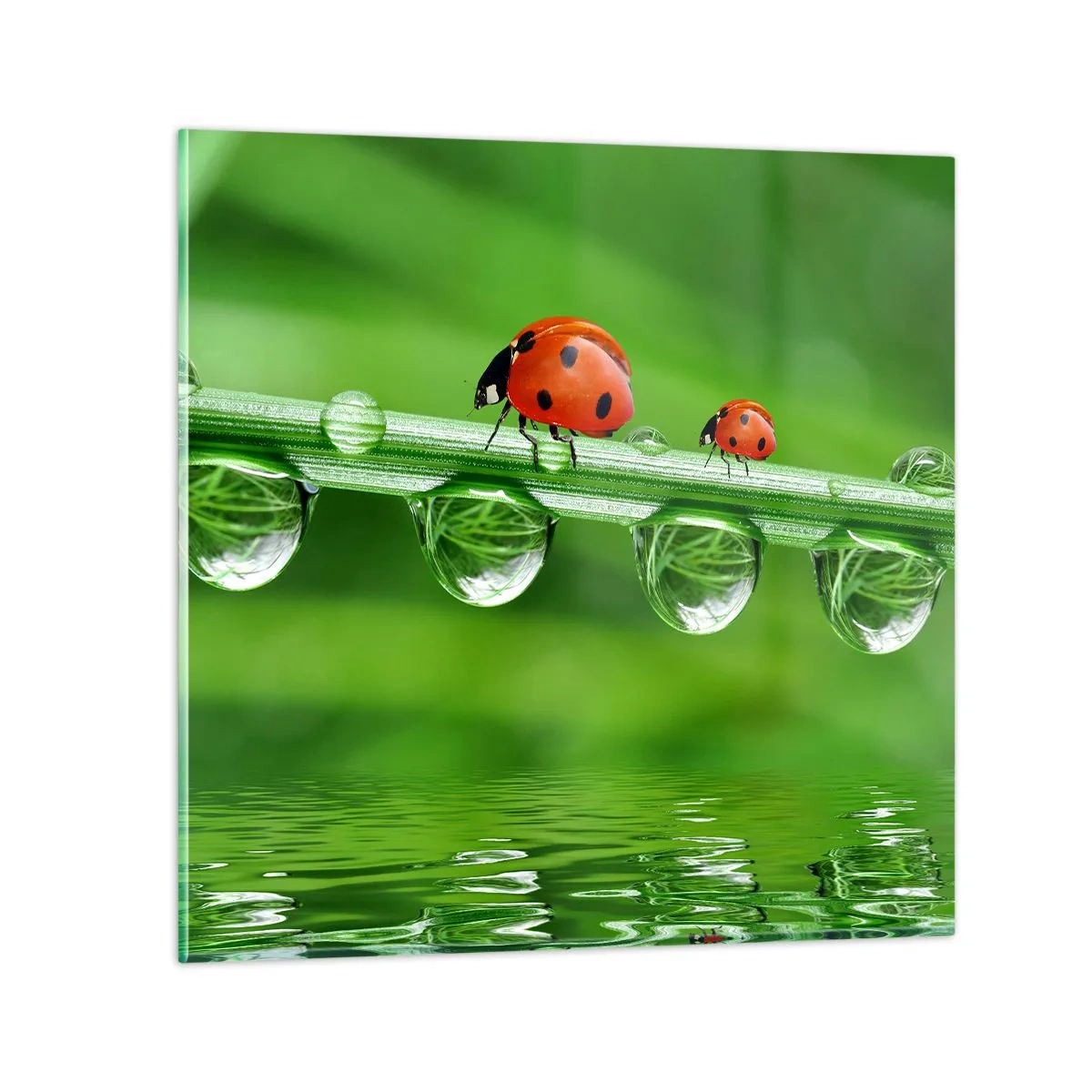 Impression sur verre - Image sur verre - Sur la route tout l'été - 70x70 cm