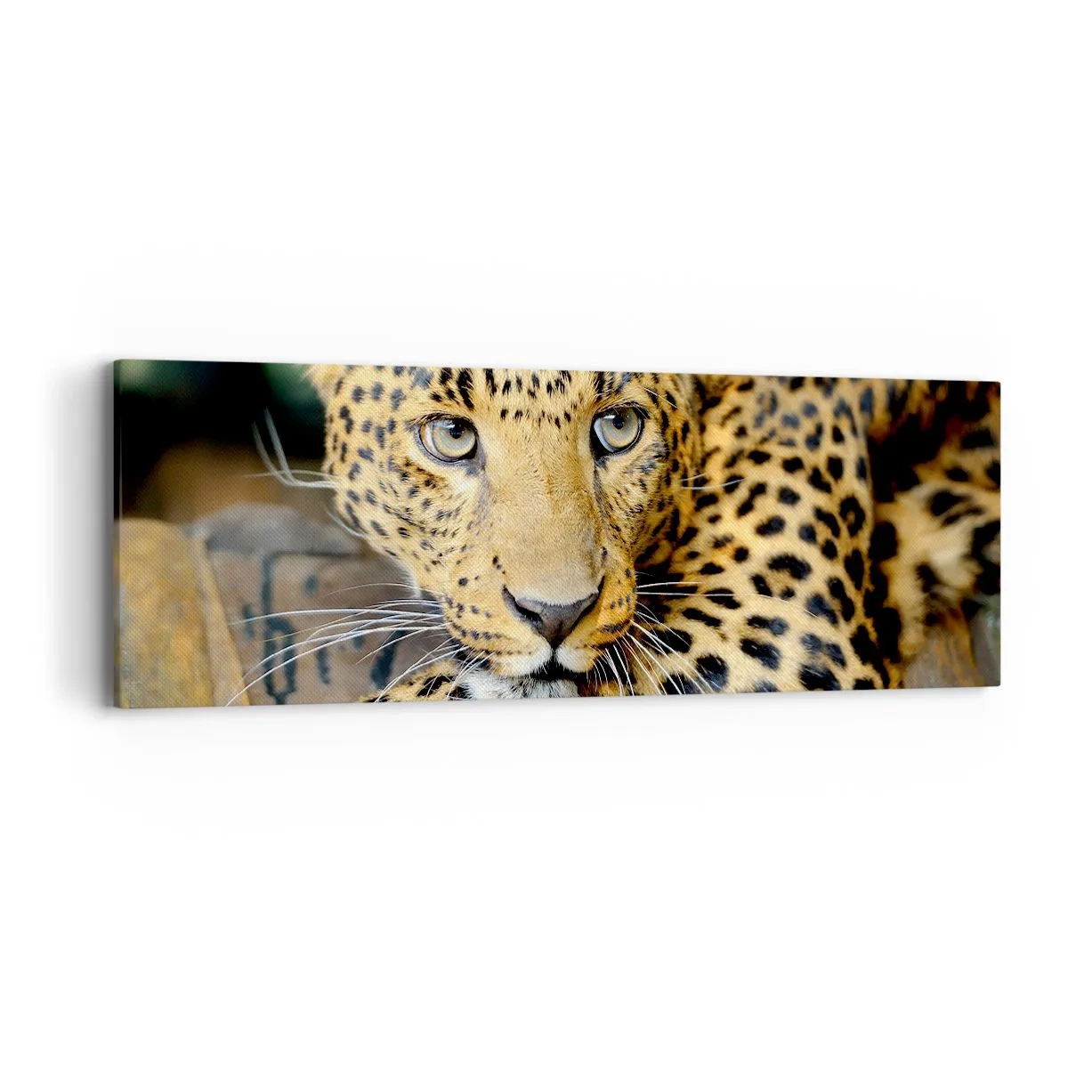 Impression sur toile - Image sur toile - N'aie pas peur, viens - 90x30 cm