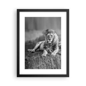 Affiche dans un cadre noir - Poster - Sieste royale - 30x40 cm