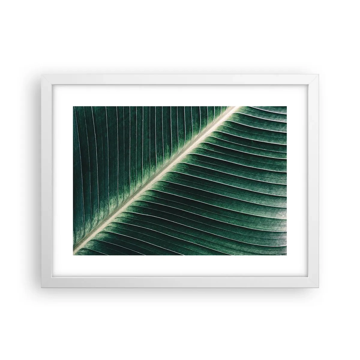 Affiche dans un cadre blanc - Poster - Le rythme de la nature - 40x30 cm