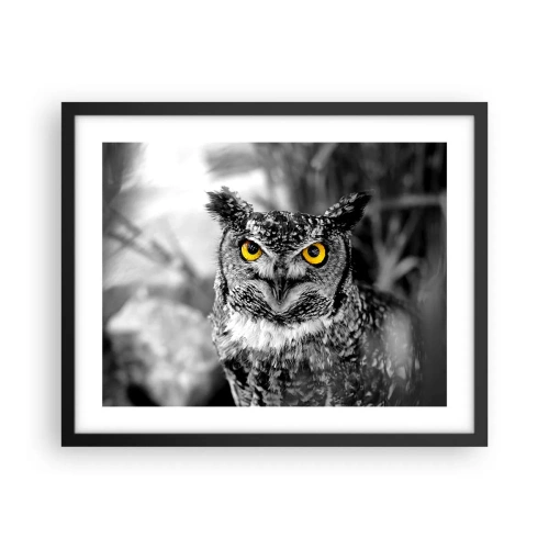 Affiche dans un cadre noir - Poster - Rien ne se cachera - 50x40 cm