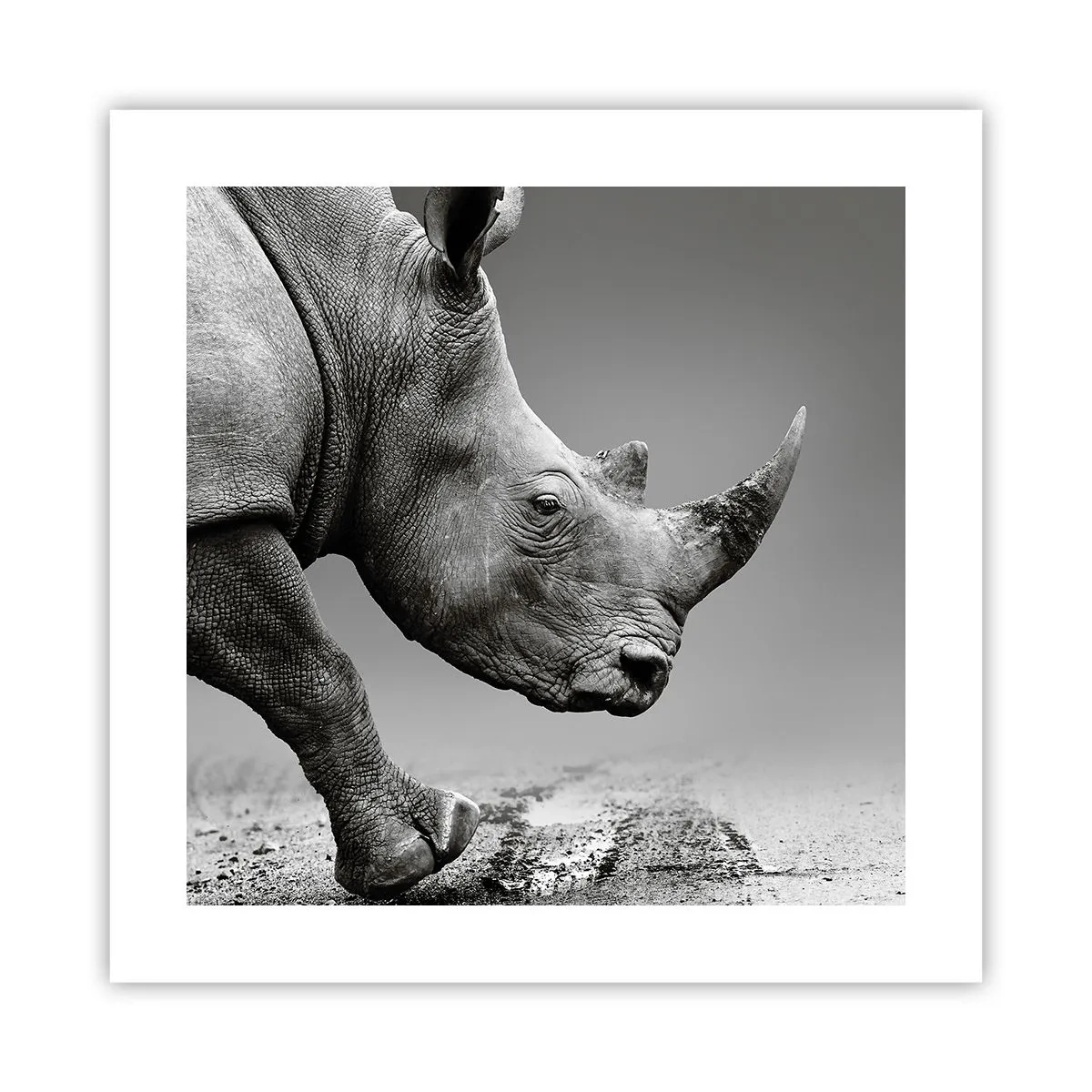 Affiche - Poster - Force inarrêtable - 40x40 cm