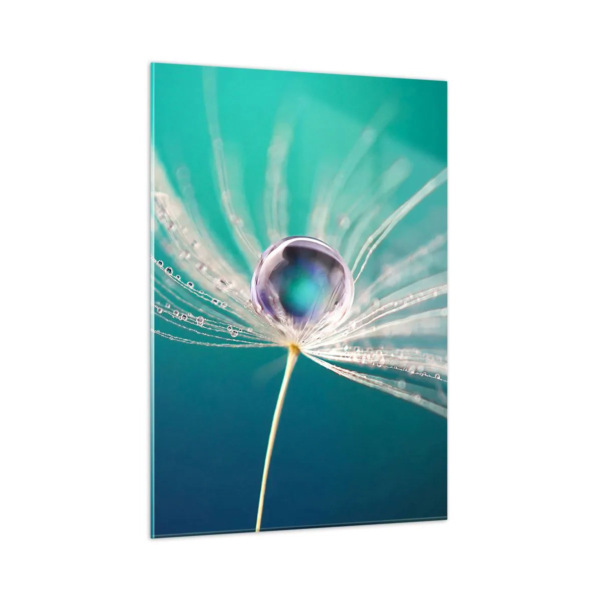 Impression sur verre - Image sur verre - Macrophotographie d'une graine de pissenlit avec une goutte de rosée sur un fond turquoise - 50x70cm - Moment mystique - Décoration murale moderne pour le salon et la chambre ARTTOR