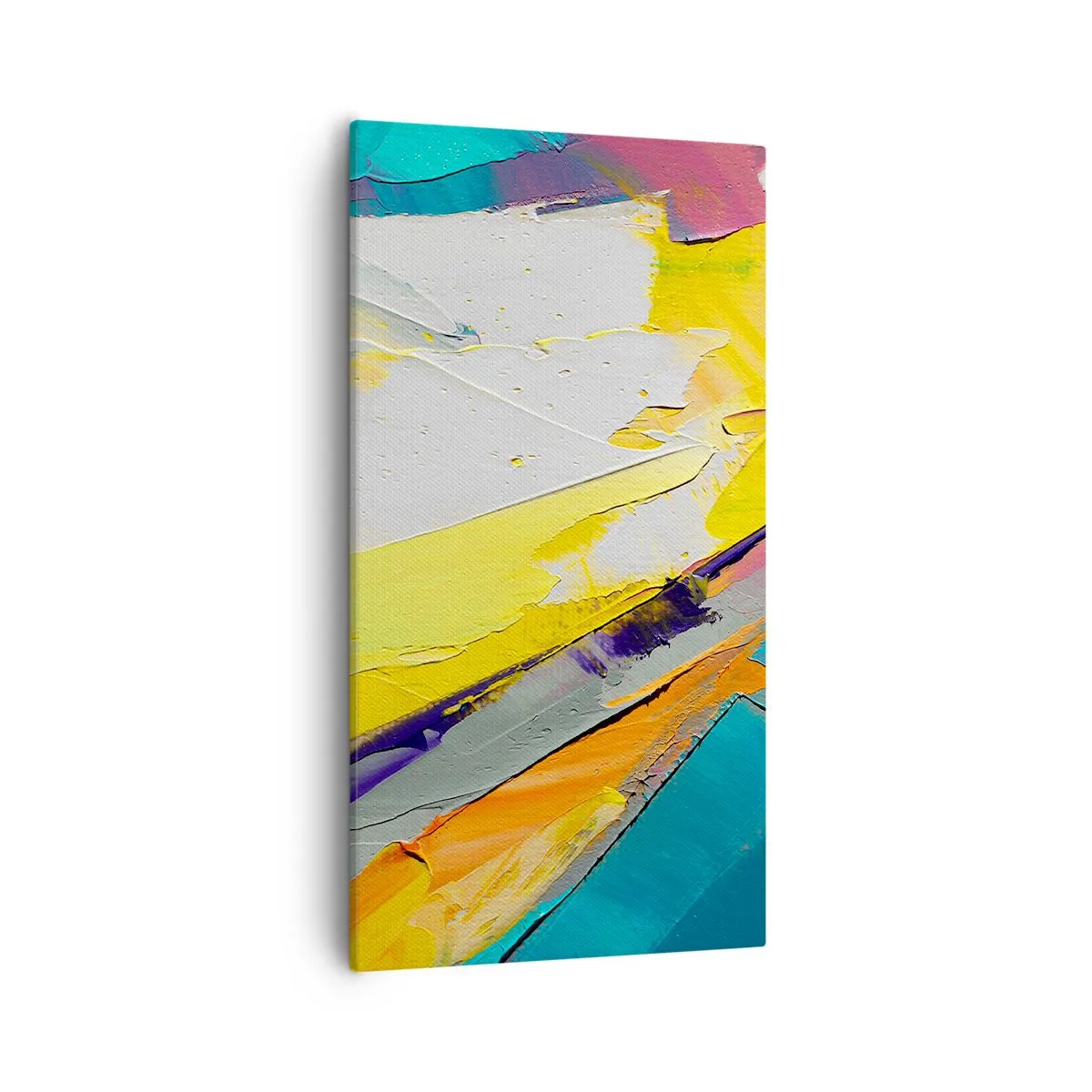 Impression sur toile - Image sur toile - Anatomie du monde - 55x100 cm