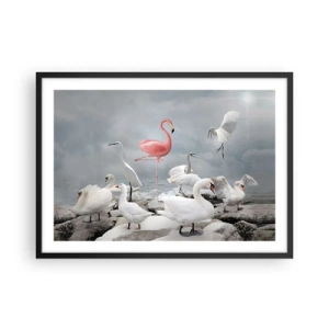 Affiche dans un cadre noir - Poster - Un flamant rose parmi des cygnes blancs sur fond de lac - 70x50cm - Comment suis-je arrivé là? - Décoration murale moderne pour le salon et la chambre ARTTOR