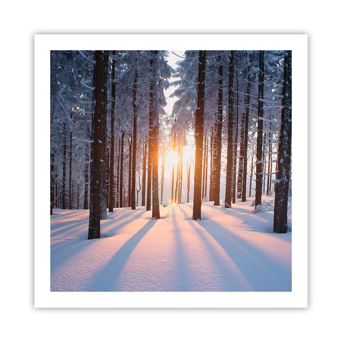 Affiche - Poster - Clairement en noir et blanc - 60x60 cm