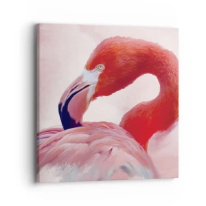 Impression sur toile - Image sur toile - Beauté des oiseaux - 40x40 cm