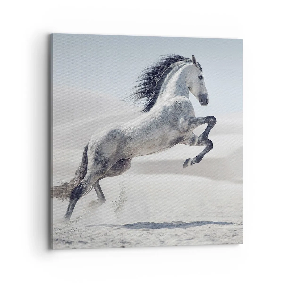 Impression sur toile - Image sur toile - Prince arabe - 70x70 cm