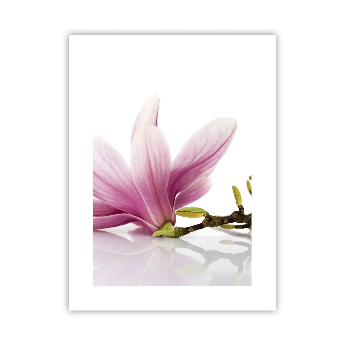Affiche - Poster - Délicat comme une brise de printemps - 30x40 cm