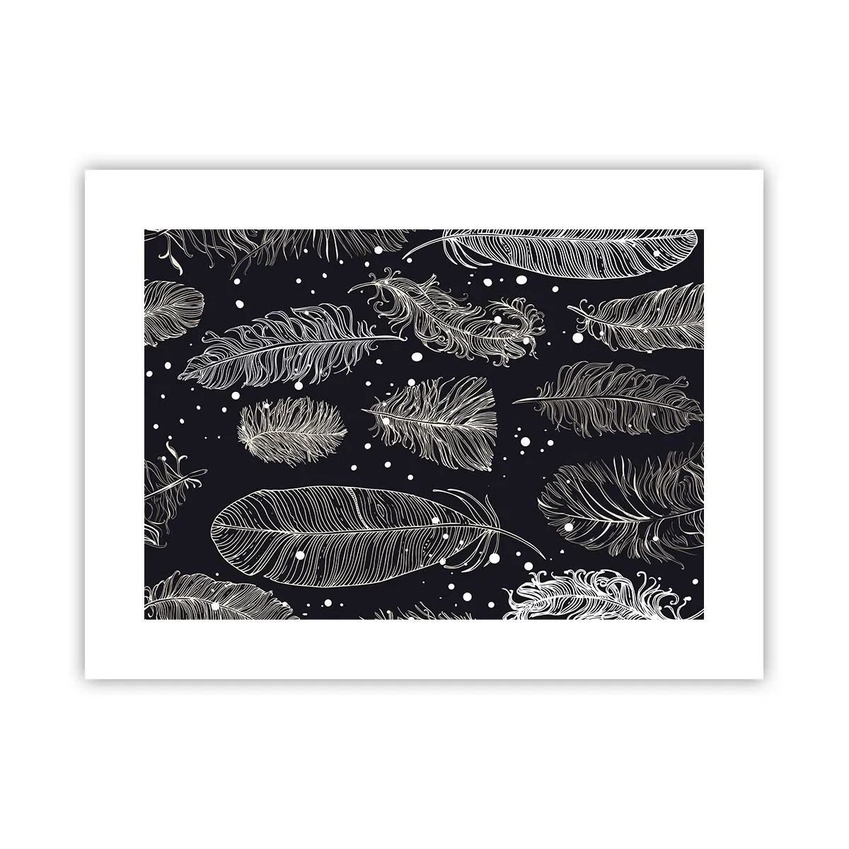 Affiche - Poster - Toile de plumes - 40x30 cm