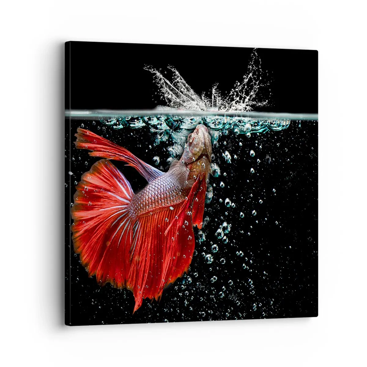 Impression sur toile - Image sur toile - Vous avez trois vœux - 30x30 cm