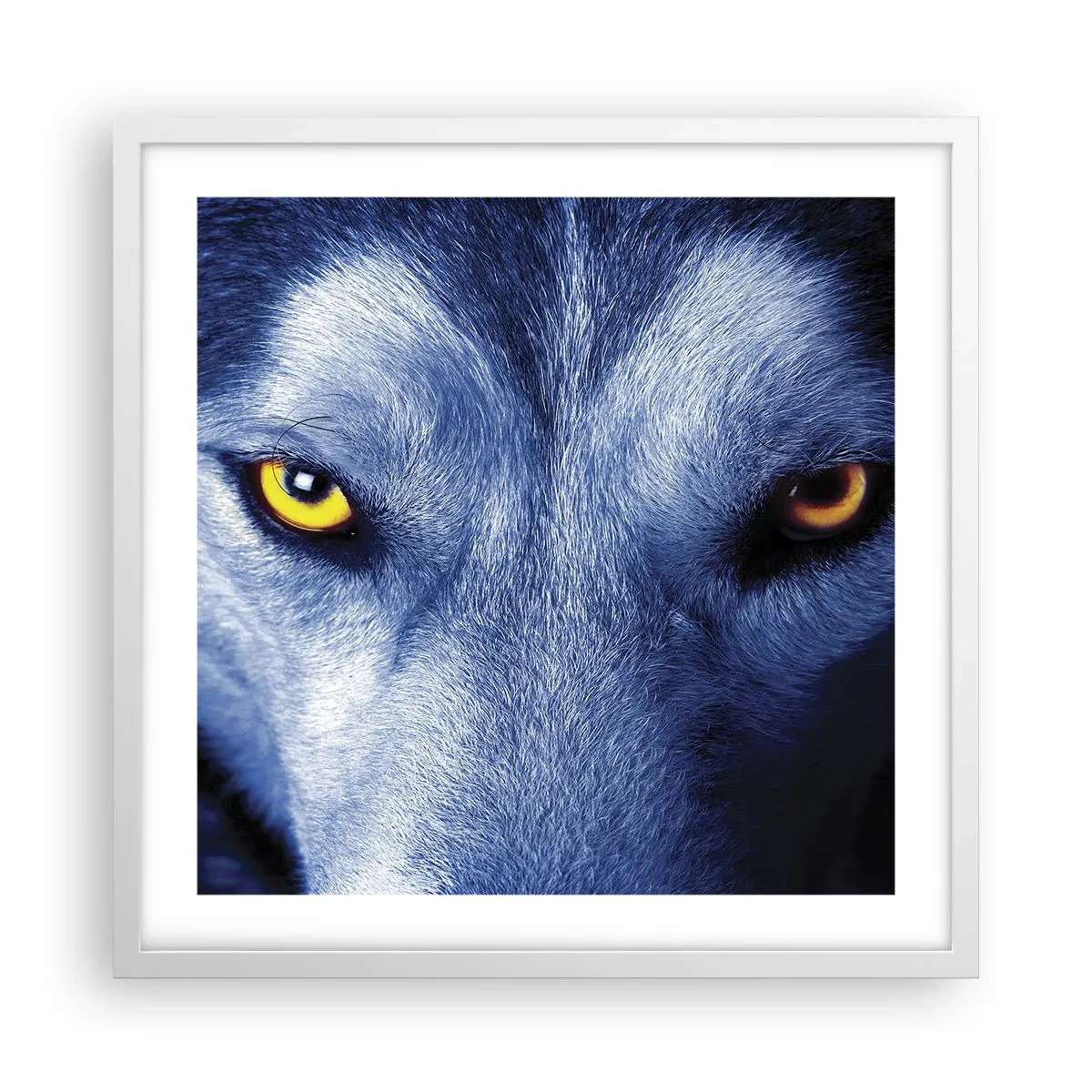 Affiche dans un cadre blanc - Poster - Regars hypnotique - 50x50 cm