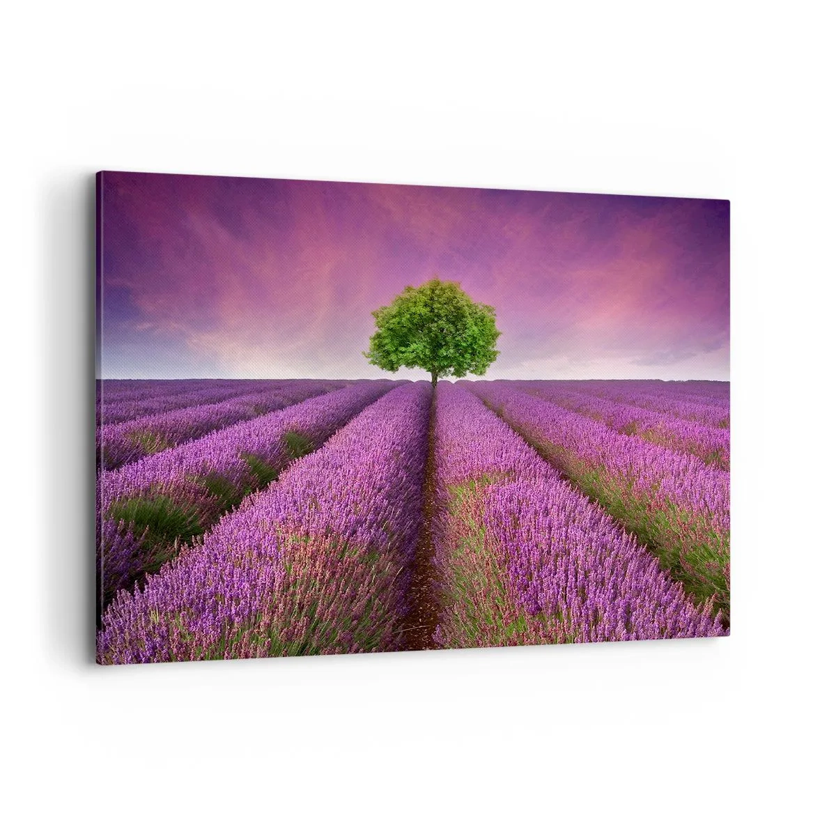 Impression sur toile - Image sur toile - Un champ de lavande avec un arbre solitaire et un ciel violet - 120x80cm - Dans un champs de lavande - Décoration murale moderne pour le salon et la chambre ARTTOR