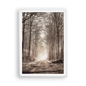 Affiche dans un cadre blanc - Poster - Cathédrale de la forêt - 70x100 cm