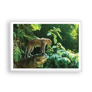 Affiche dans un cadre blanc - Poster - À la chasse? - 100x70 cm