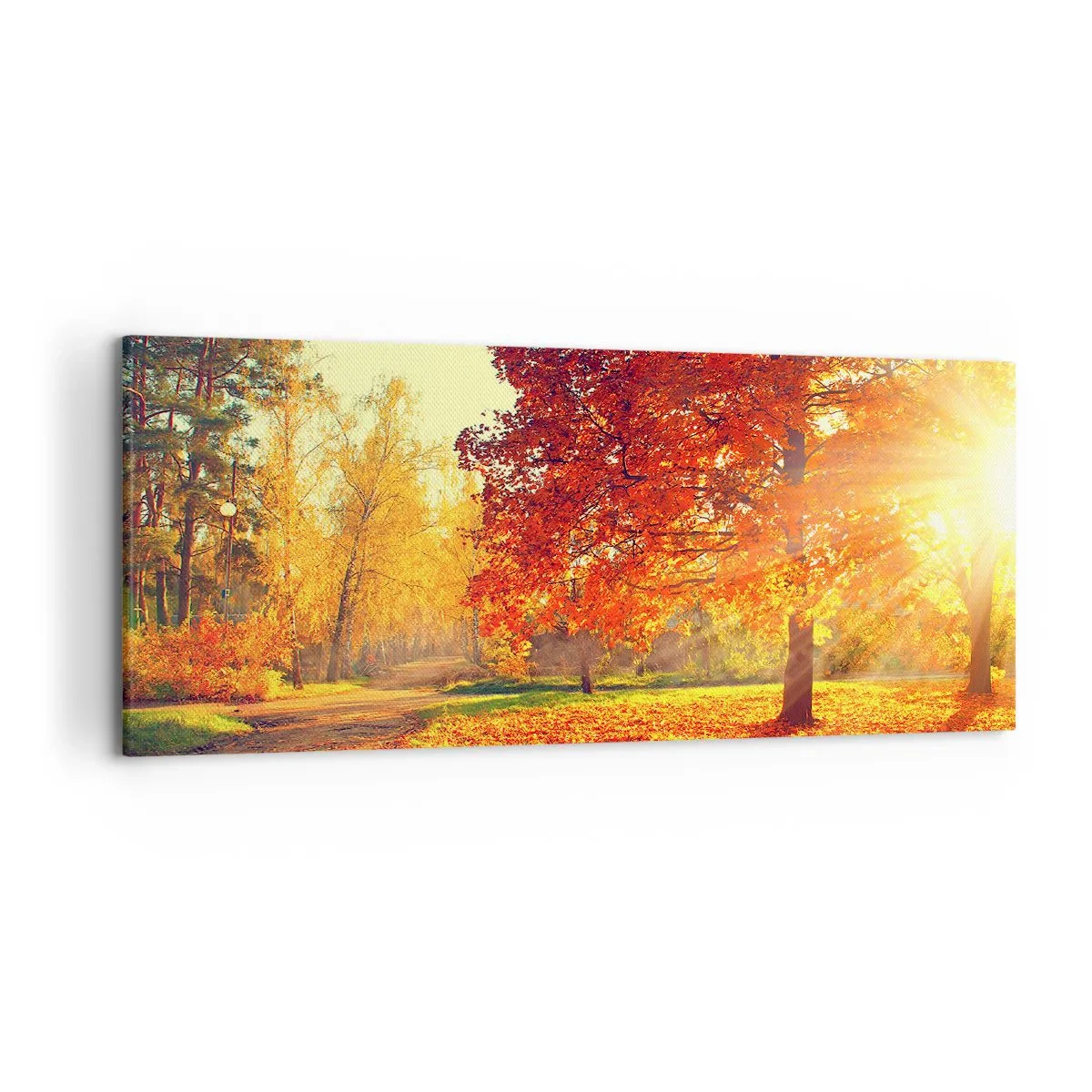 Impression sur toile - Image sur toile - Parc d'automne illuminé par la lumière du soleil - 120x50cm - Le roux est beau - Décoration murale moderne pour le salon et la chambre ARTTOR
