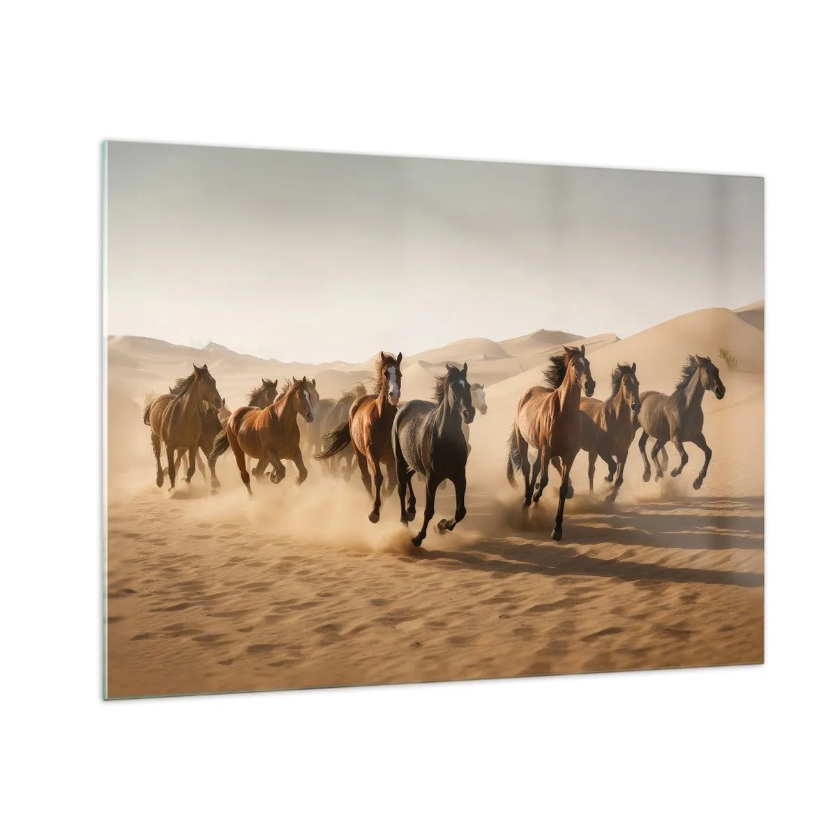 Impression sur verre - Image sur verre - Un troupeau de chevaux au galop dans le désert parmi les dunes de sable - 70x50cm - Libre comme le vent - Décoration murale moderne pour le salon et la chambre ARTTOR