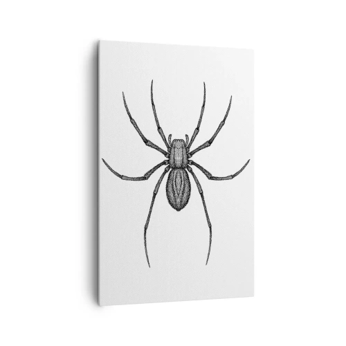 Impression sur toile - Image sur toile - Détail d'une araignée sur fond blanc dans un style dessin animé - 80x120cm - Une précision troublante - Décoration murale moderne pour le salon et la chambre ARTTOR