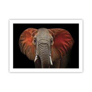 Affiche - Poster - Je suis sauvage, et toi? - 70x50 cm