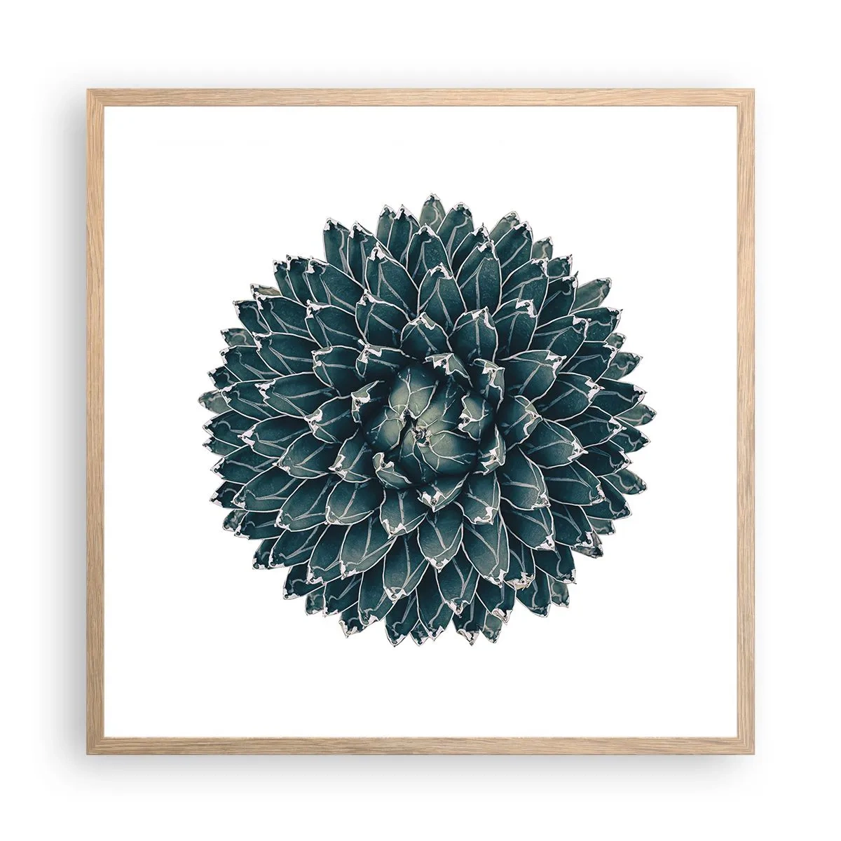 Affiche dans un chêne clair - Poster - Étoile du désert - 60x60 cm