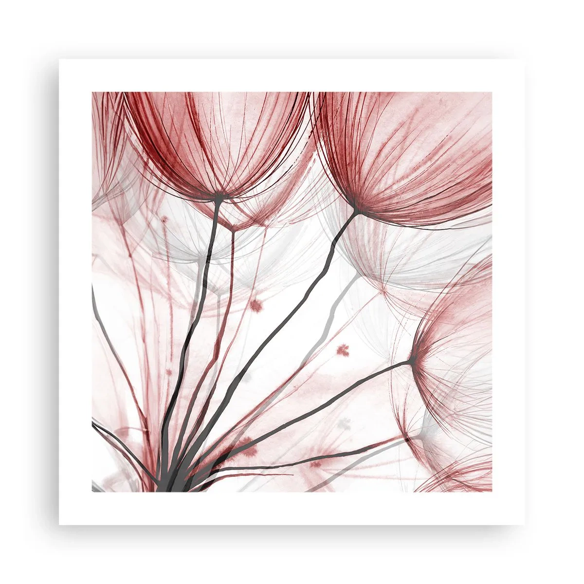 Affiche - Poster - Avant le départ - 50x50 cm