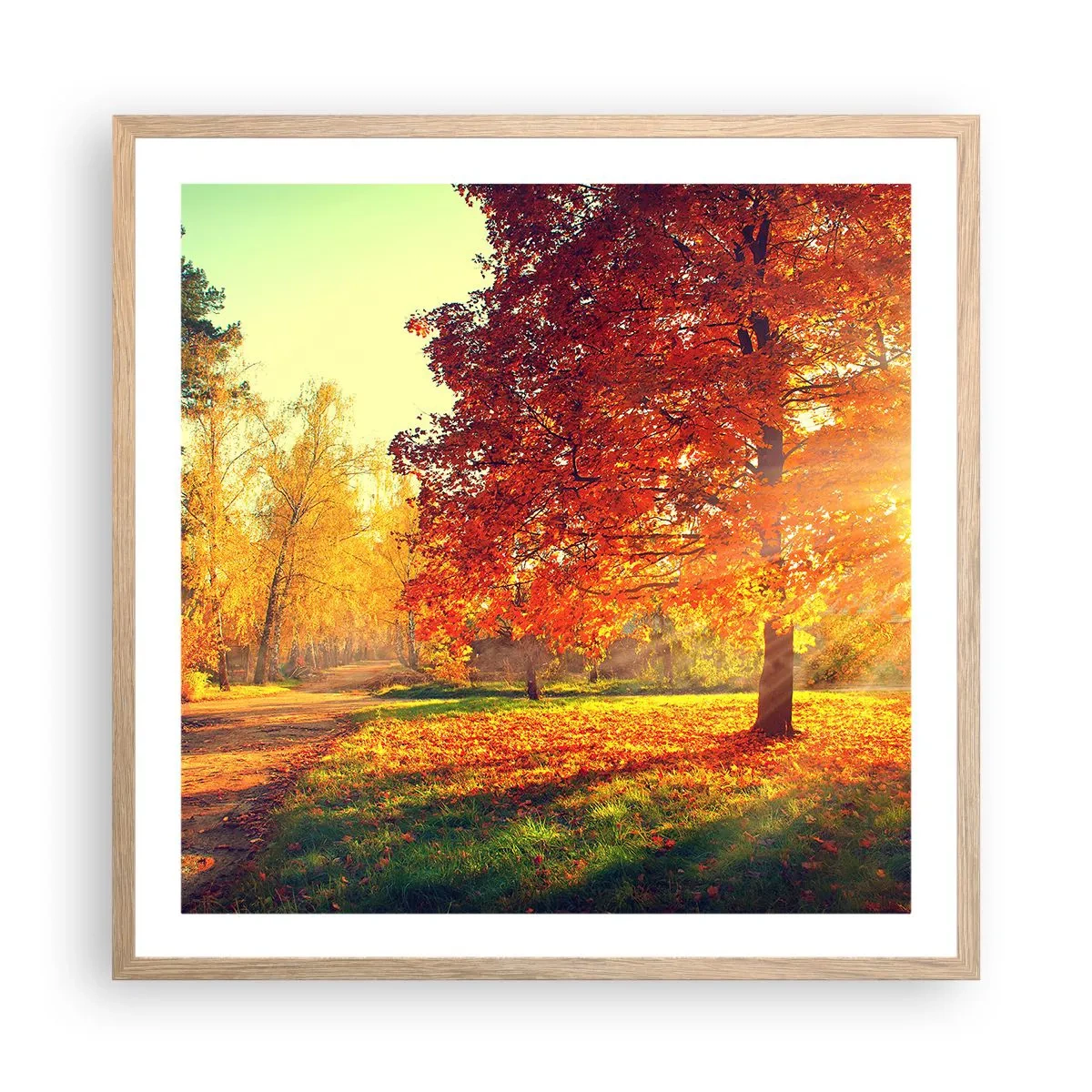 Affiche dans un chêne clair - Poster - Le roux est beau - 60x60 cm