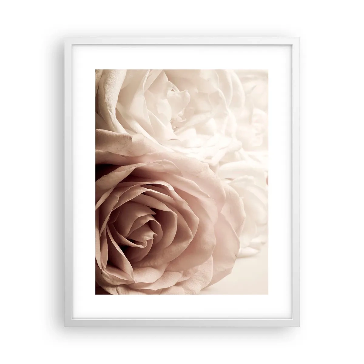 Affiche dans un cadre blanc - Poster - Au coeur d'ue la rose - 40x50 cm