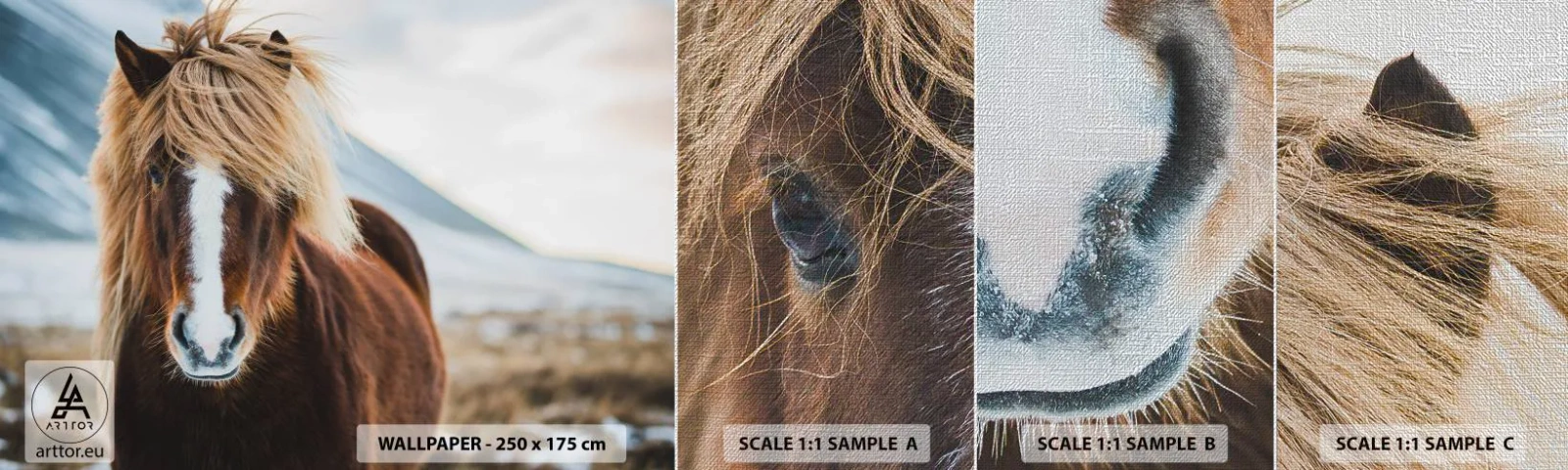 Échantillon de Papier Peint Premium Canvas - Sentez-vous la liberté ? - Cheval, Nature, Animaux - 100x30 cm