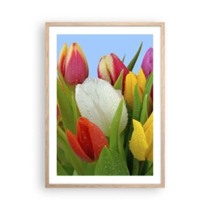 Affiche dans un chêne clair - Poster - Un arc-en-ciel fleuri en gouttes de rosée - 50x70 cm