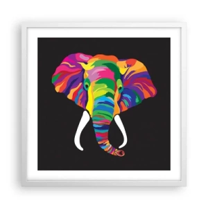 Affiche dans un cadre blanc - Poster - L'éléphant qui aimait se baigner dans un arc-en-ciel - 50x50 cm